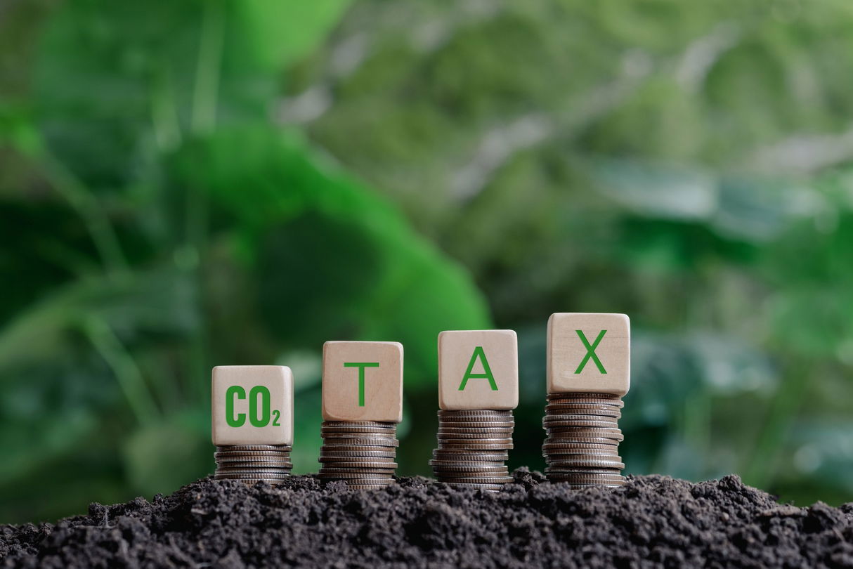 carbon tax letters on blocks atop stacks of coins on grass