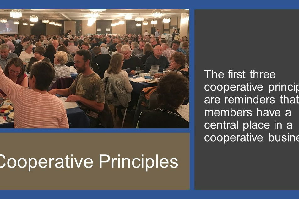 poster: 3 cooperative principles