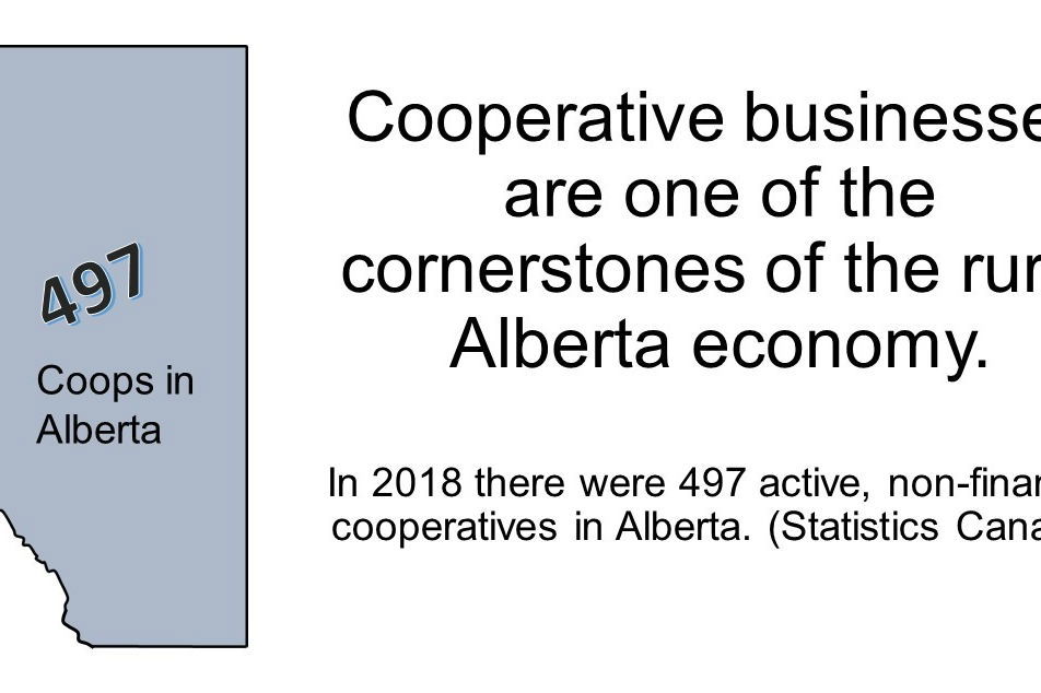 illustration: coop as cornerstone for rural community