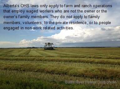 oasis of green trees on prairie farm