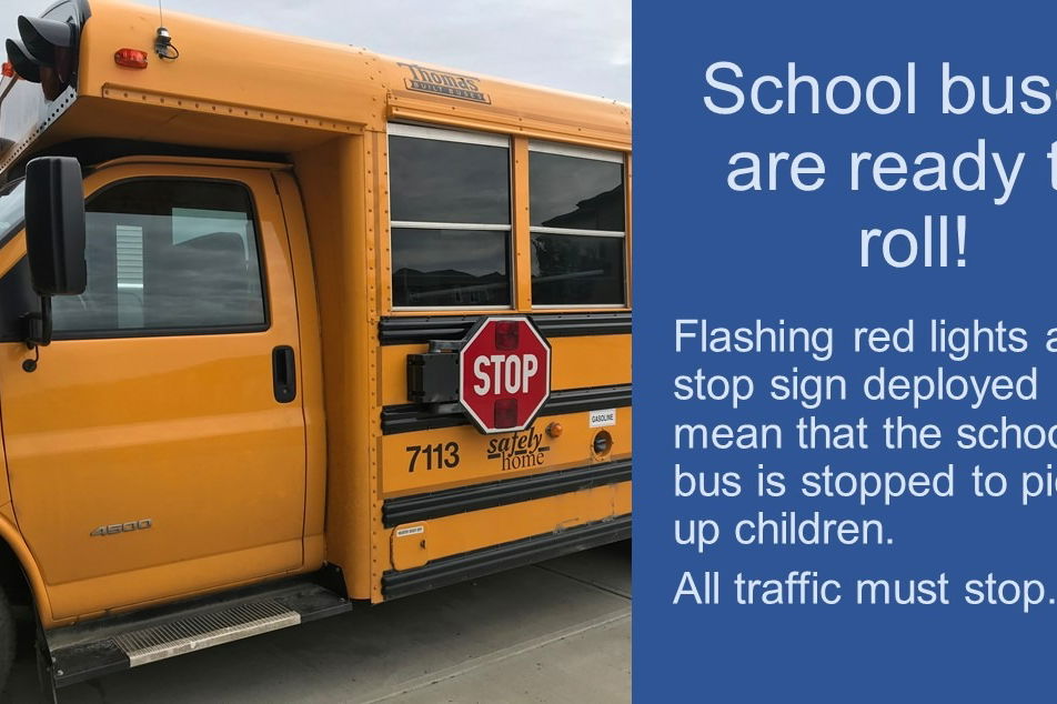 school buses ready to roll