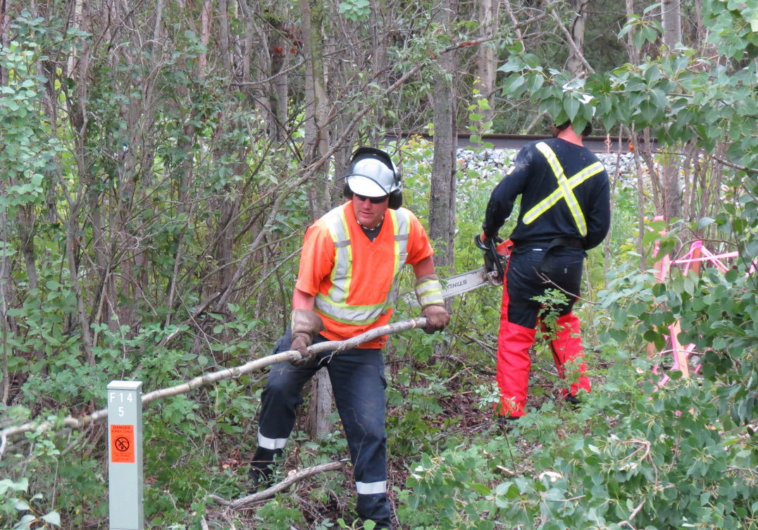 utility workers clearing brush on ground