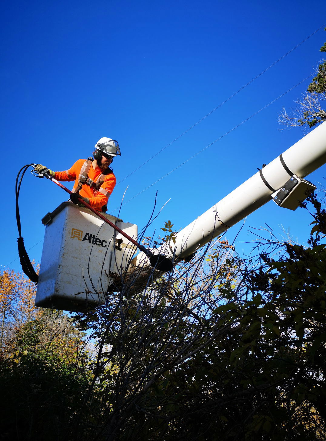 utility worker brushes trees from boom