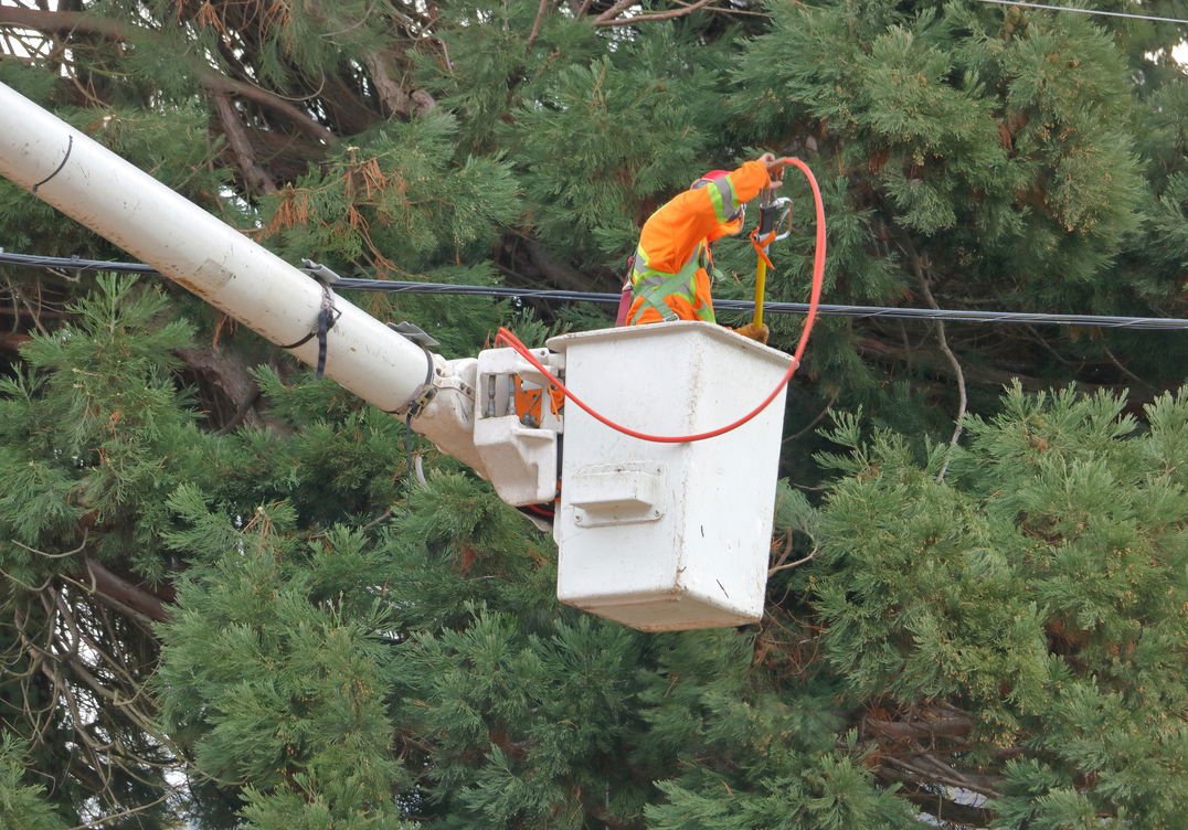 utility worker brushes windbreak from boom