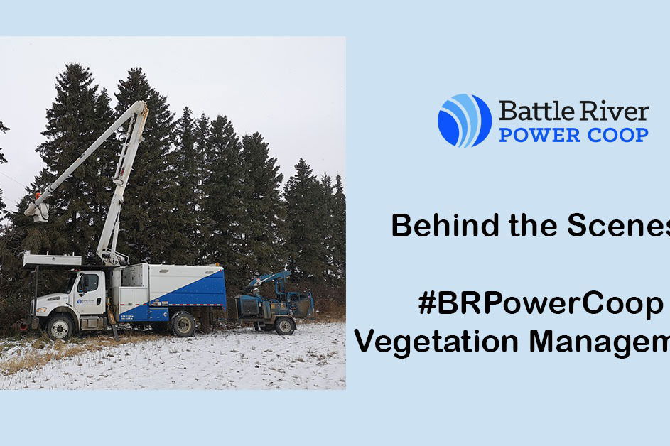 illustration: vegetation management